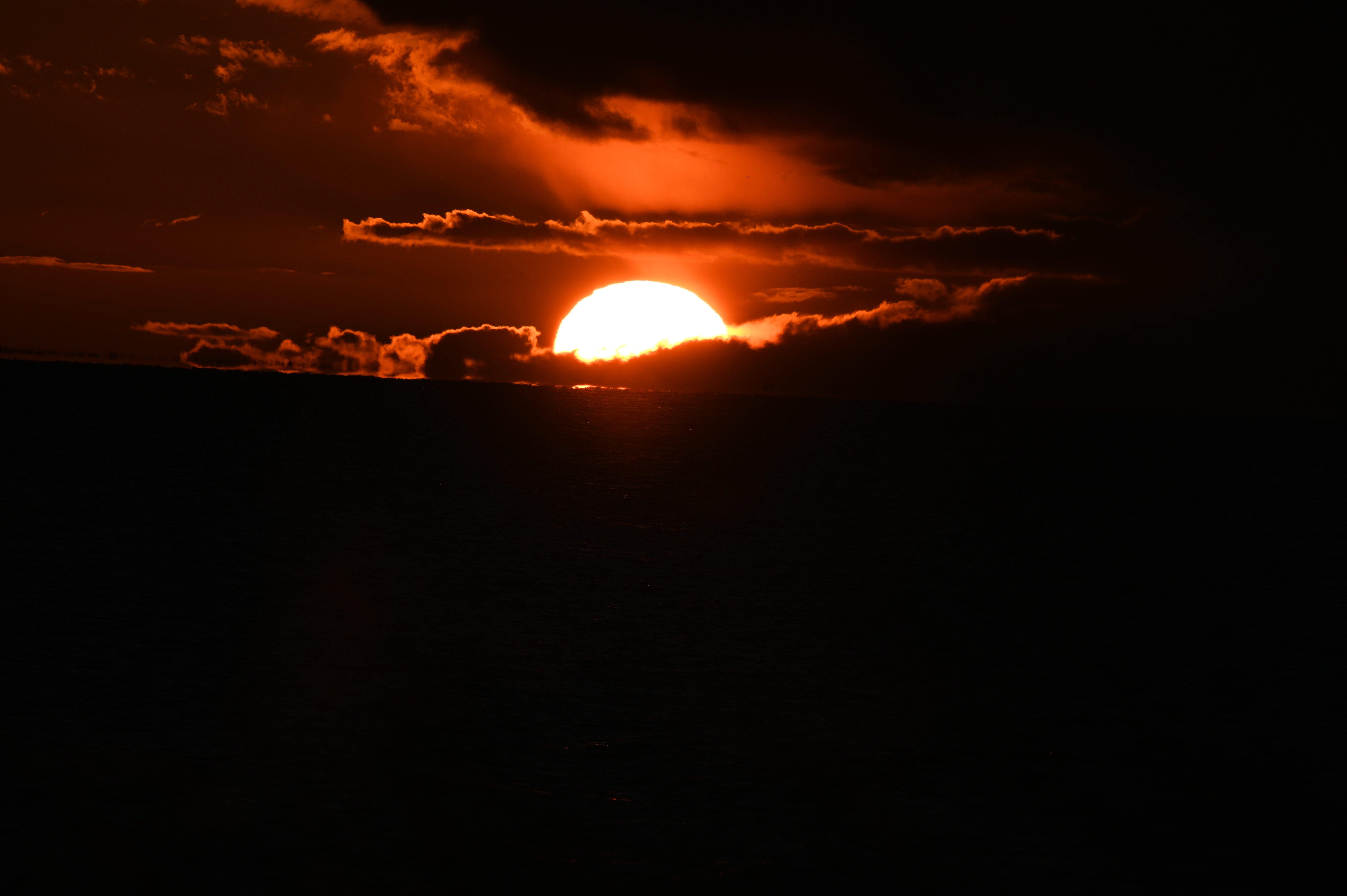 2025/10/18 - walk/DSC_0479.JPG